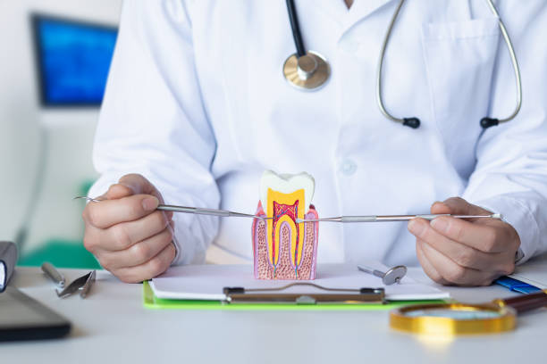Best Walk-In Emergency Dental Services in Sugar Land, TX